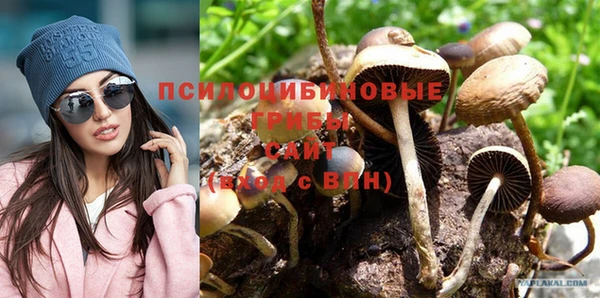 прущая мука Козловка