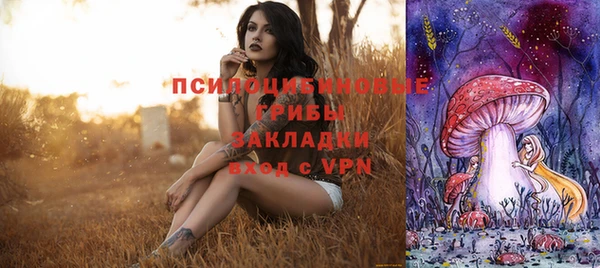 прущая мука Козловка