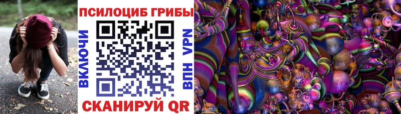 Купить где  Юрьевец  Псилоцибиновые грибы Magic Shrooms 