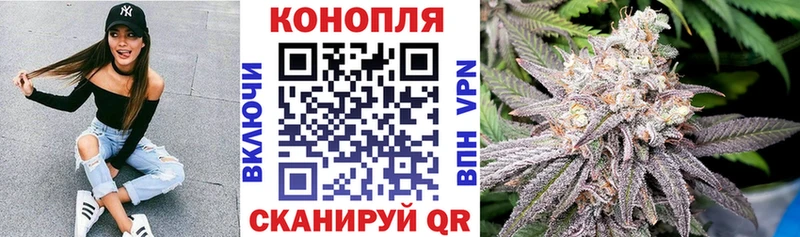 Купить закладки  Юрьевец  Марихуана планчик 